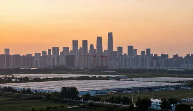 企业管理咨询在财税领域的适用情况与限制